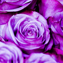 网站ddos隐藏源ip